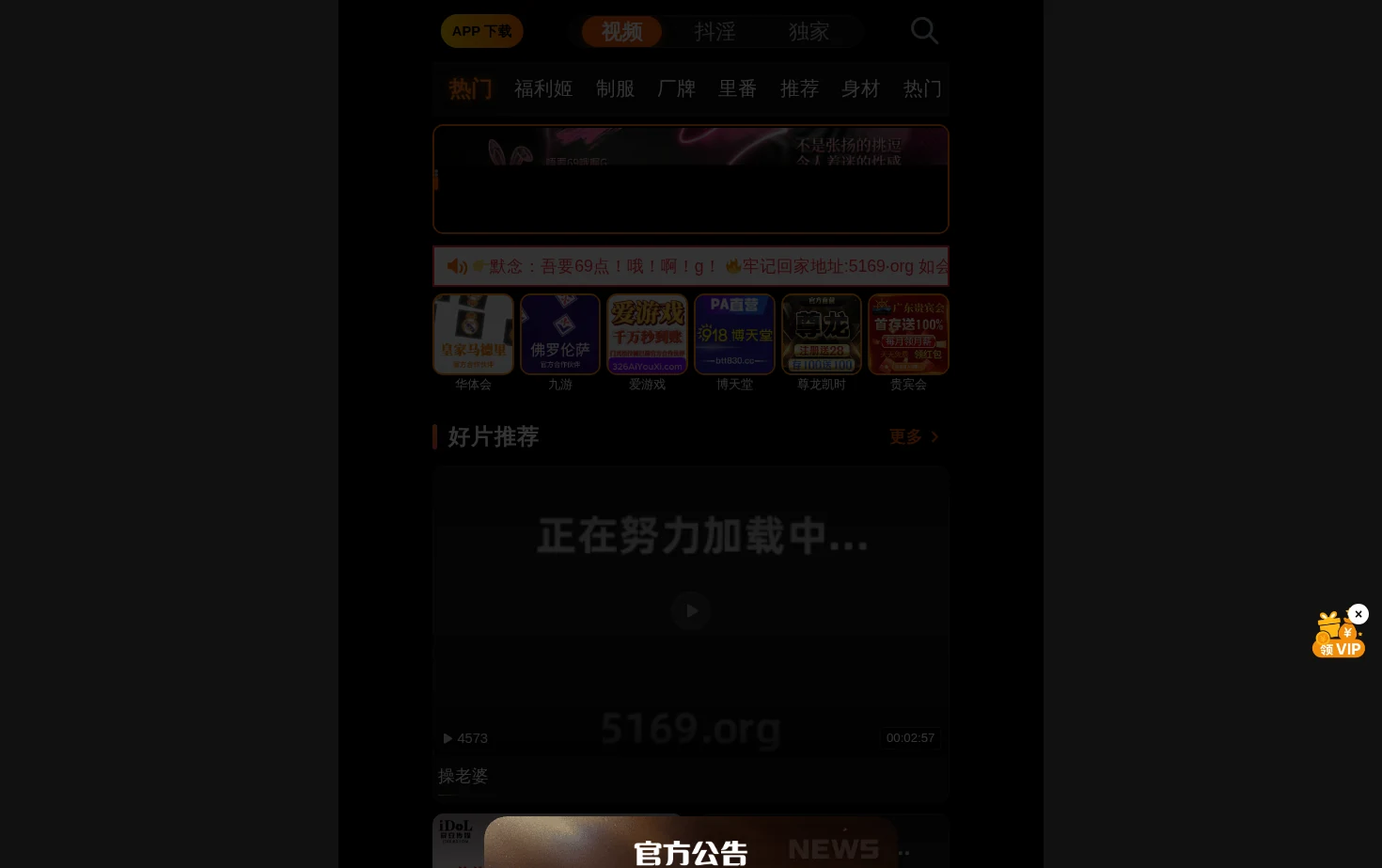 视频 页面快照